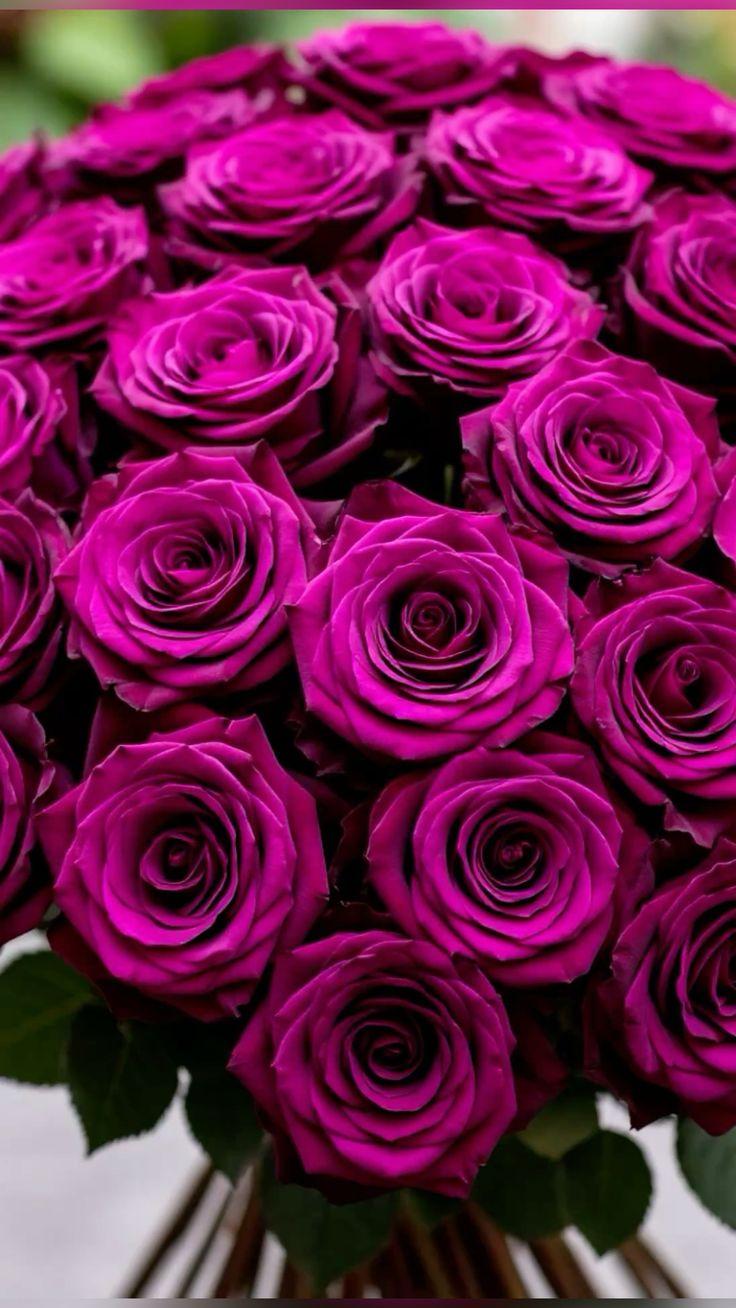 Radiant Logic Framework workshop space where corporate flower arrangements are designed and prepared for business delivery